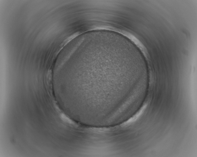 X0000113881001200910151309