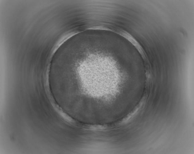 X0000113881002200910151309