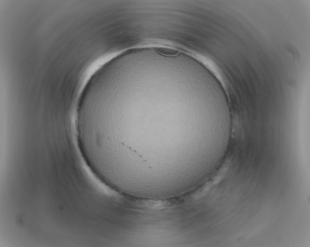 X0000113881003200910151309