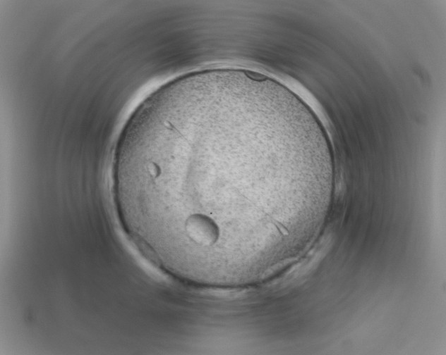 X0000113881005200910151309