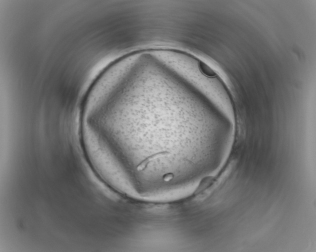 X0000113881006200910151309