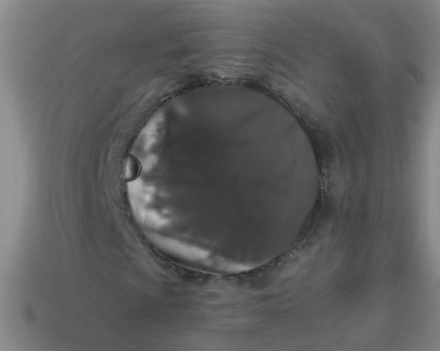 X0000113881009200910151308