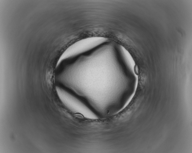 X0000113881010200910151308