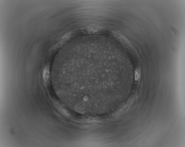 X0000113881011200910151308