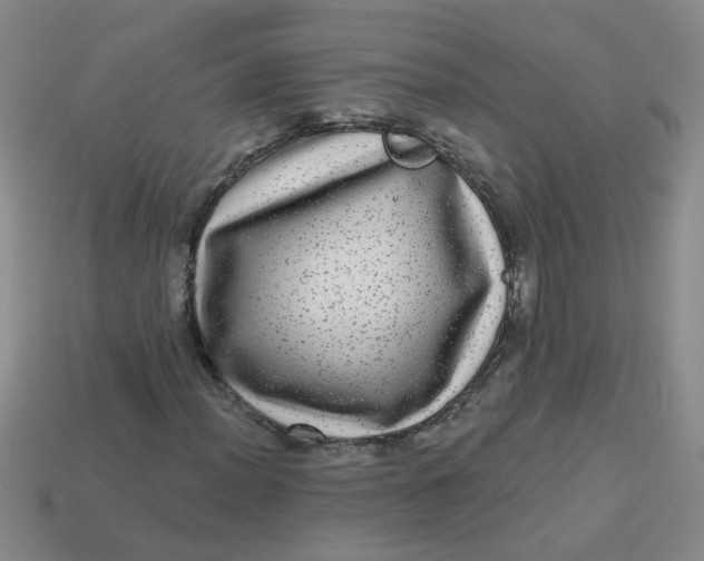 X0000113881012200910151308