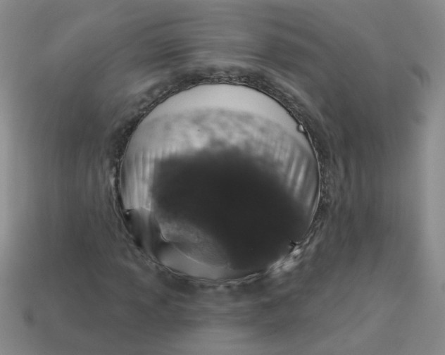 X0000113881013200910151308