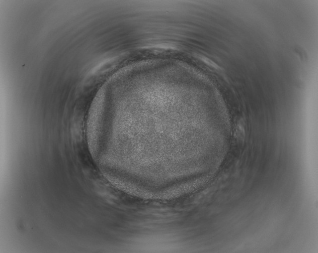 X0000113881014200910151308