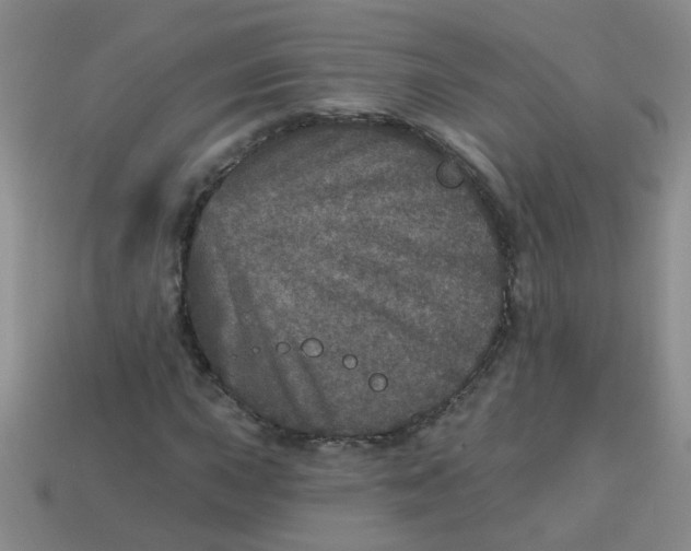 X0000113881015200910151308