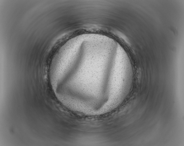 X0000113881016200910151308