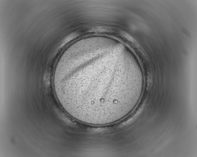 X0000113881017200910151308