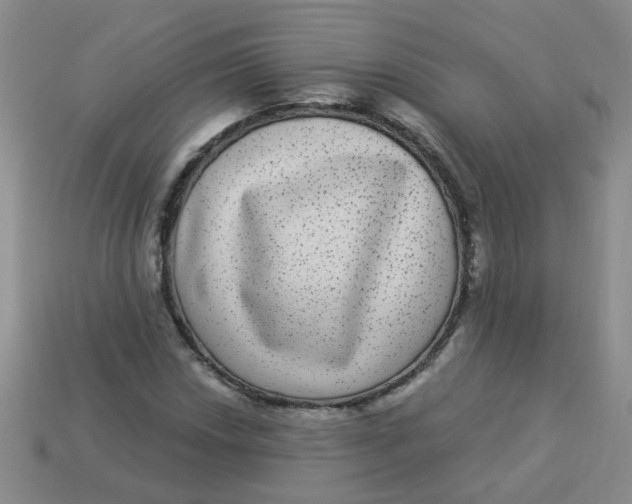 X0000113881018200910151308