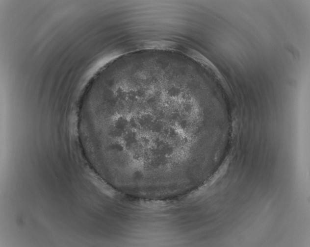 X0000113881019200910151308