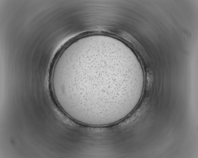 X0000113881020200910151308