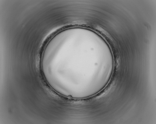 X0000113881021200910151309