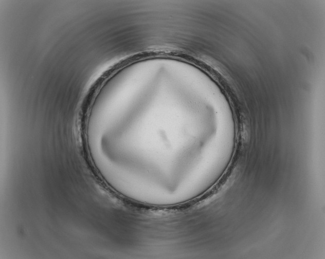 X0000113881022200910151309