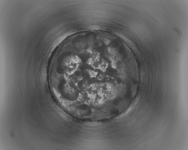 X0000113881023200910151309