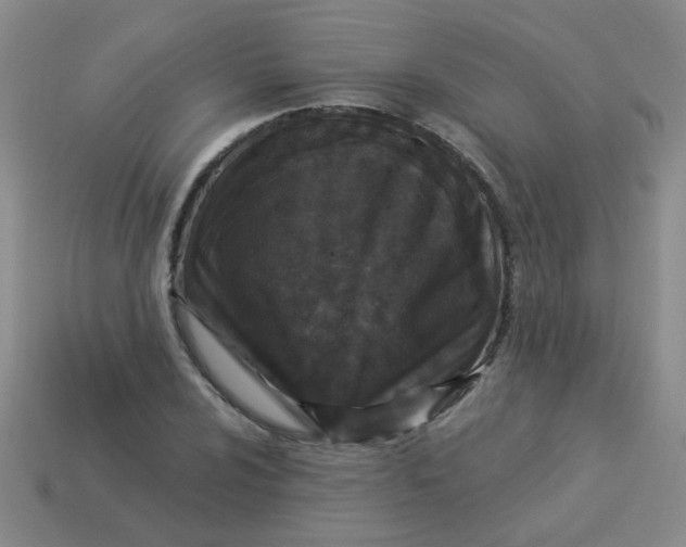 X0000113881024200910151309