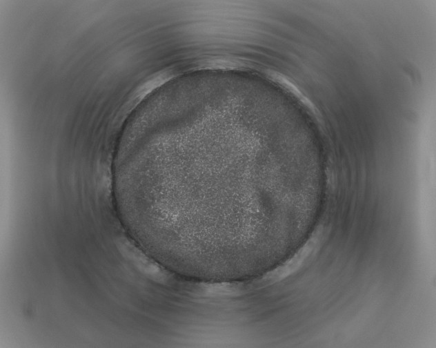 X0000113881025200910151309