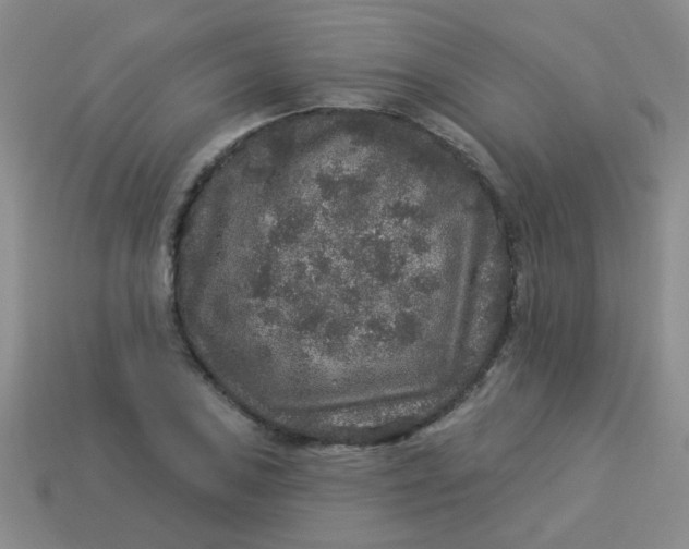 X0000113881027200910151309