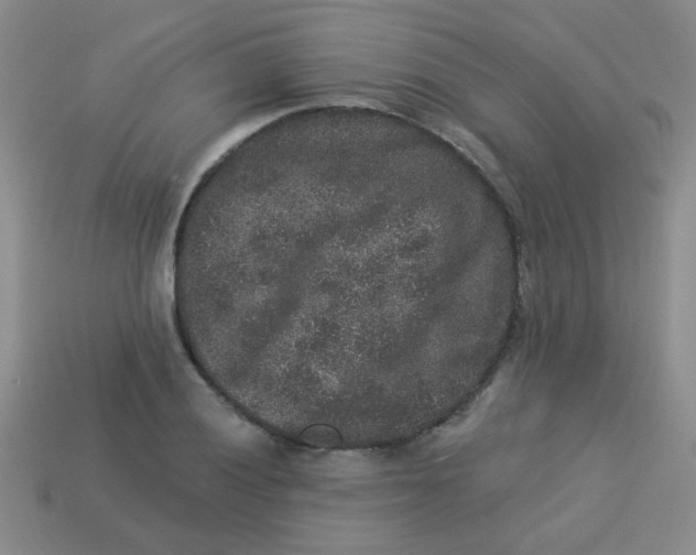 X0000113881028200910151309