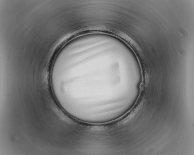 X0000113881029200910151309