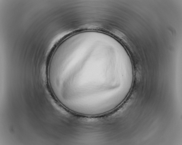 X0000113881030200910151309