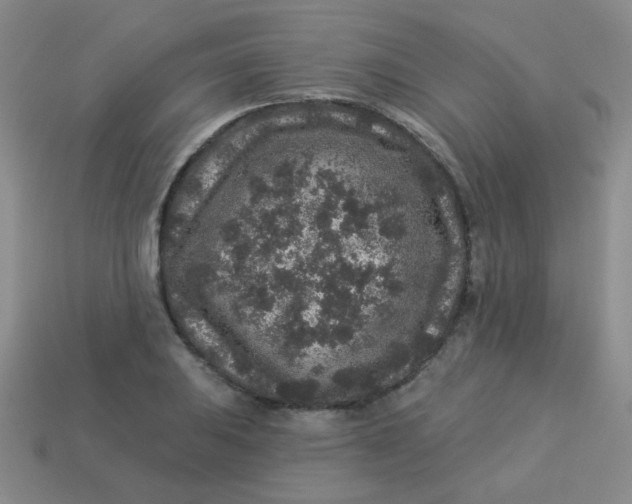 X0000113881031200910151309