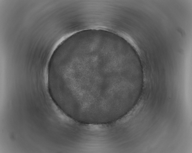 X0000113881032200910151309