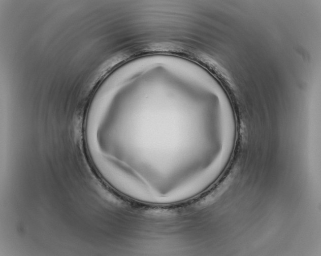 X0000113881033200910151309