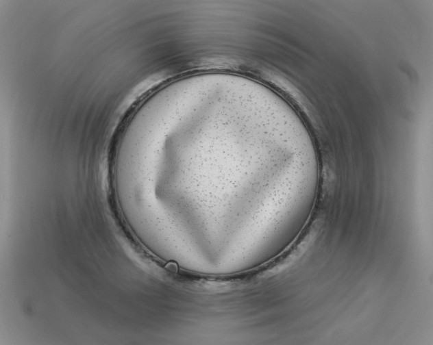 X0000113881034200910151309