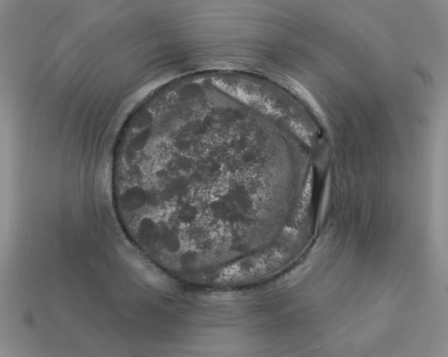 X0000113881035200910151309