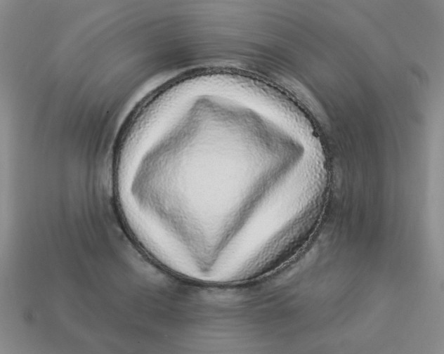 X0000113881036200910151309