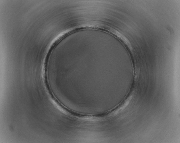 X0000113881037200910151309