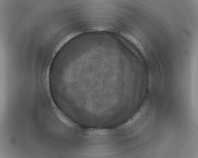 X0000113881039200910151309