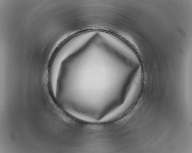 X0000113881040200910151309