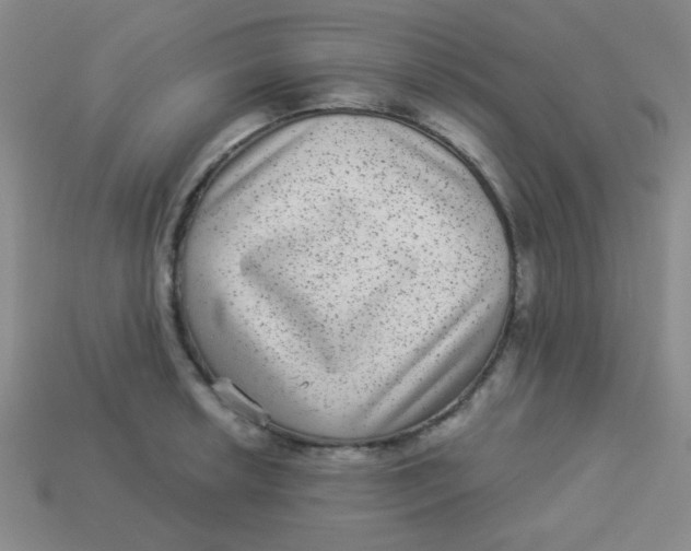 X0000113881042200910151309