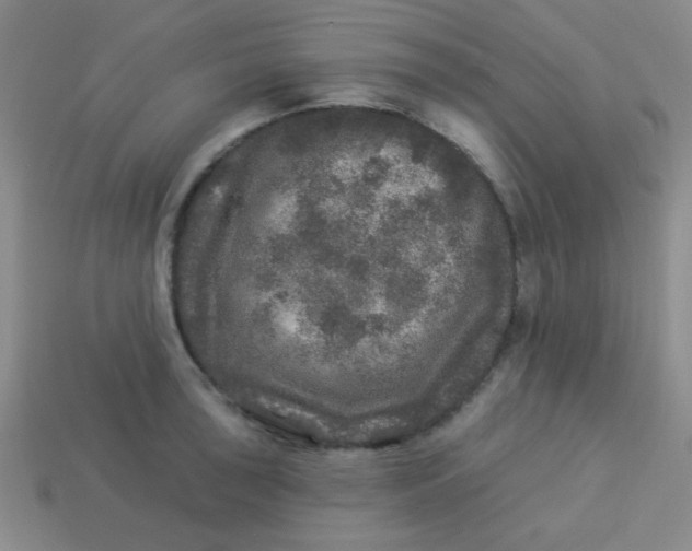 X0000113881043200910151309