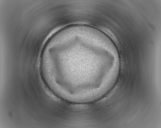 X0000113881044200910151309