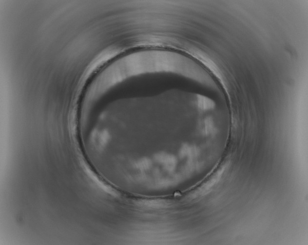 X0000113881045200910151309