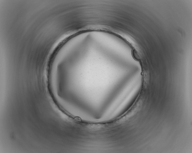 X0000113881046200910151309