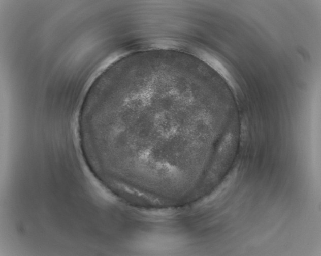 X0000113881047200910151309