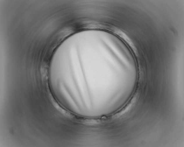 X0000113881049200910151309