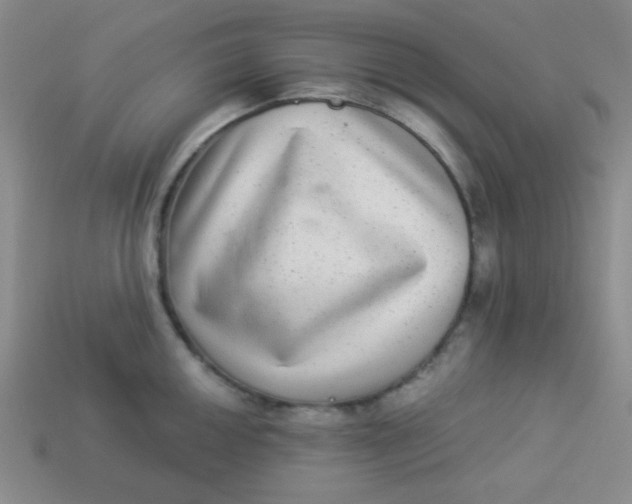 X0000113881050200910151309