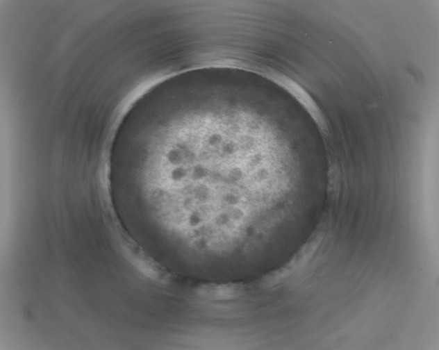 X0000113881051200910151309