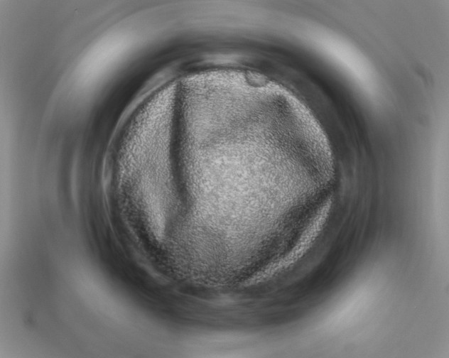 X0000113881052200910151309