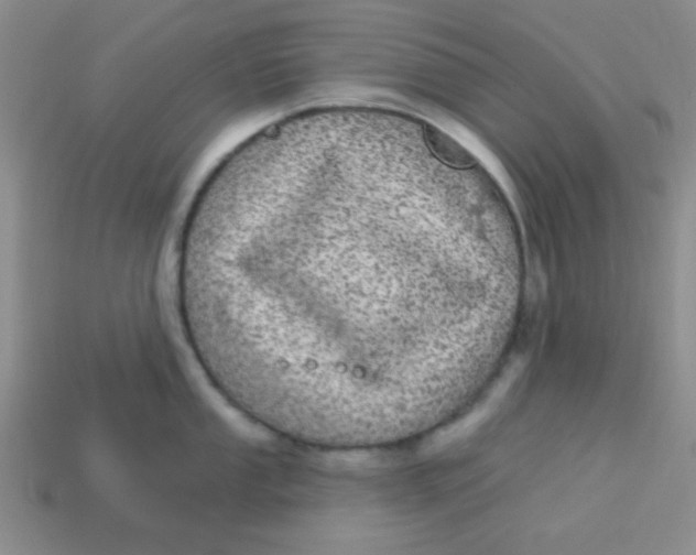 X0000113881053200910151309