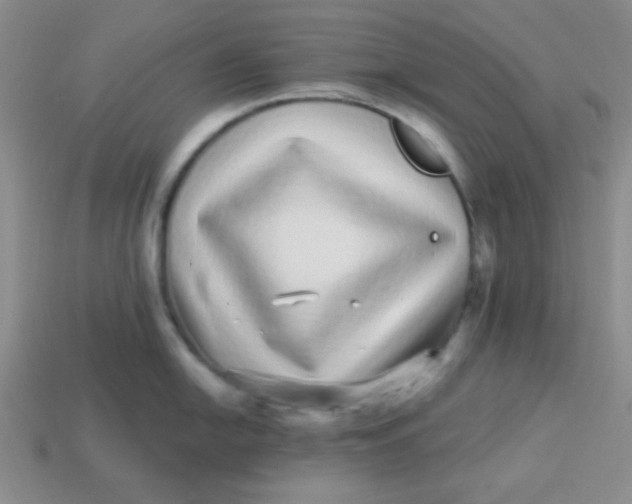 X0000113881054200910151309