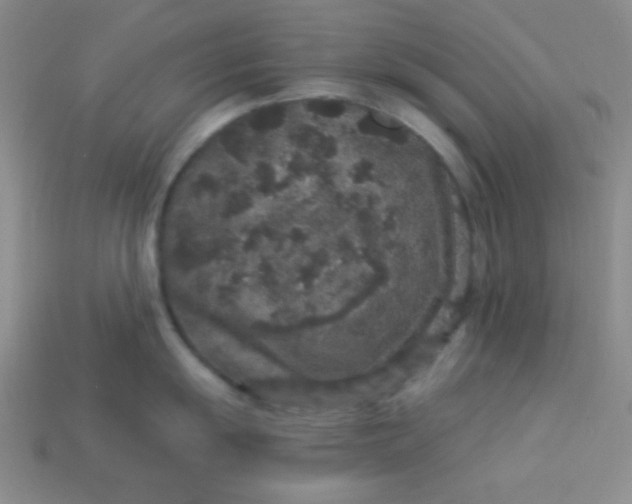 X0000113881055200910151309