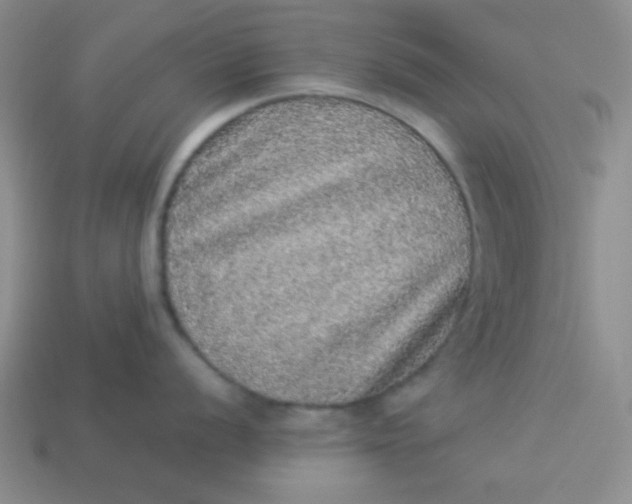 X0000113881056200910151309