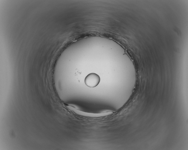 X0000113881057200910151308